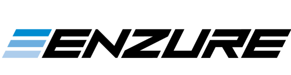 Enzure Logo3